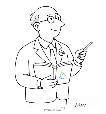 Professor ESG Frameworks